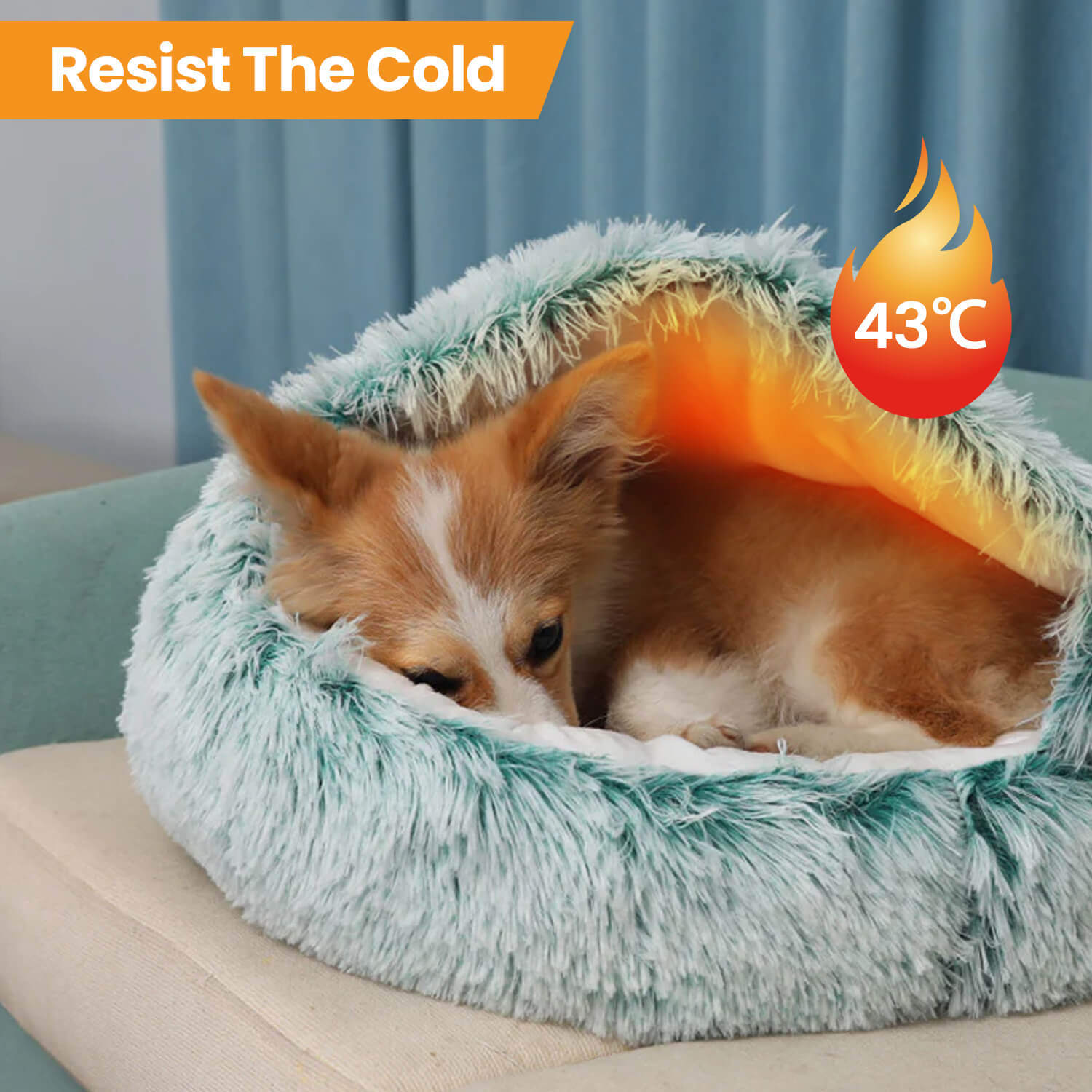 Create a Heavenly Retreat for Your Pet with INDA™ CloudSoft Pet Oasis