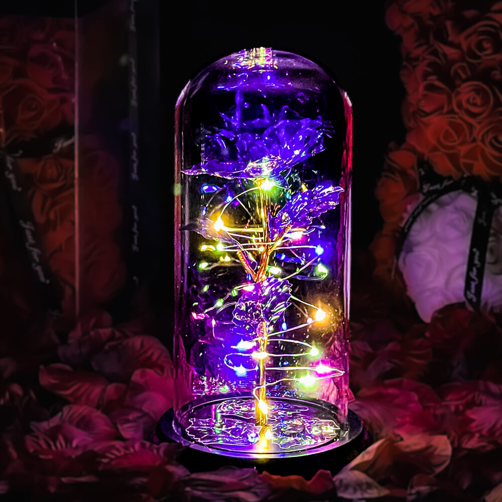 Enchanted Galaxy Forever Rose™