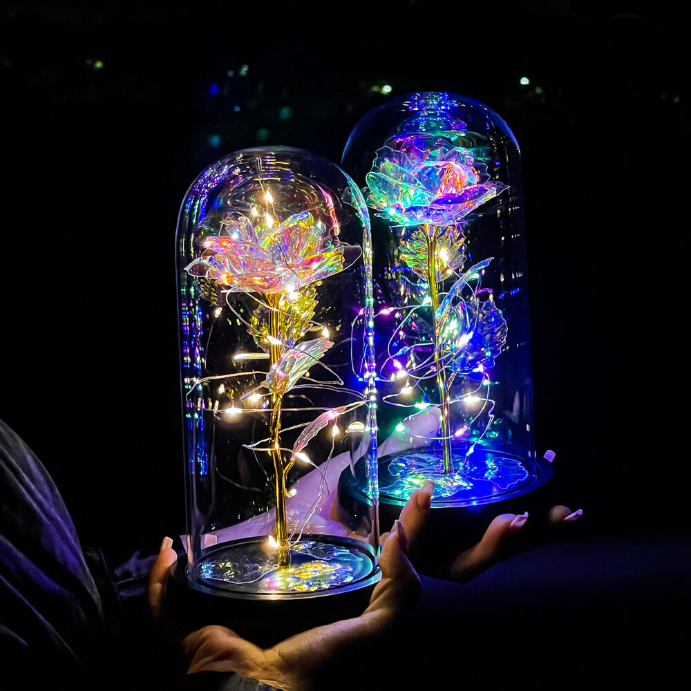 Enchanted Galaxy Forever Rose™